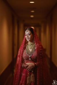 Photos by Safarsaga Films